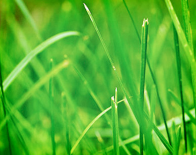 哪买最实惠的怎么去攻击一个网站与防护